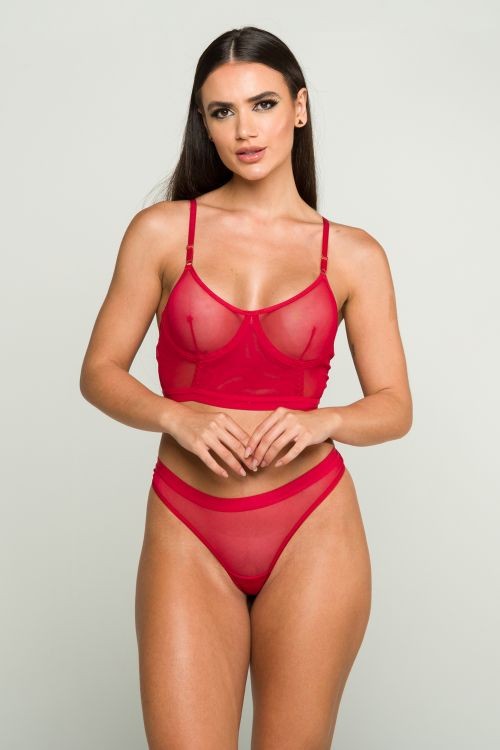 Juicy Red Sheer Only Mesh Lower A-Line bra