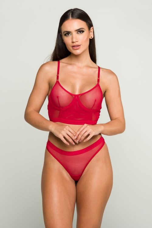 juicy red sheer only mesh lower a-line bra